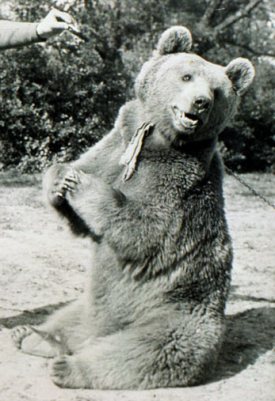 Picture