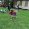 carousel chooser