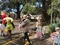 carousel chooser