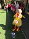 carousel chooser
