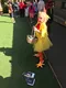carousel chooser