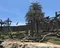 carousel chooser