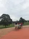 carousel chooser